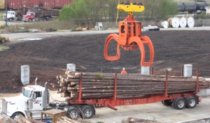 Self–Contained Hydraulically Operated Log Grapples